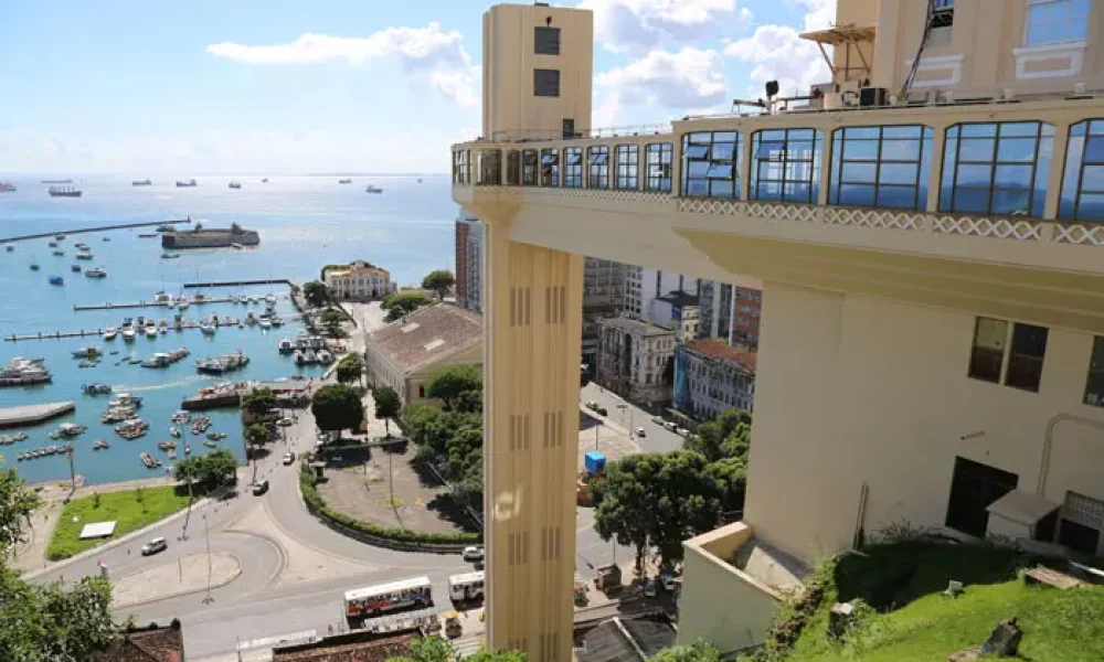 156944892815385013584 copiar